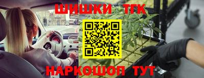 амф Заводоуковск
