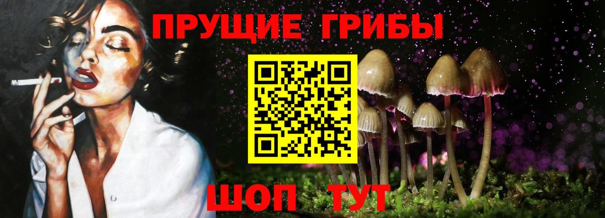 Щёлково  Псилоцибиновые грибы мухоморы  Вход с VPN 
